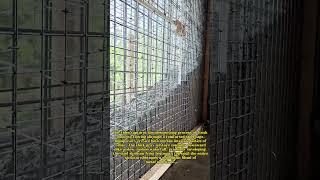 Concrete Symphony: Watch Liquid Stone Transform Into Unbreakable Strength!