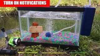 Catching PET Exotic Fish for Aquarium!  Monster Mike Fishing