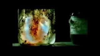 SONATA ARCTICA - Wolf and Raven (OFFICIAL MUSIC VIDEO)