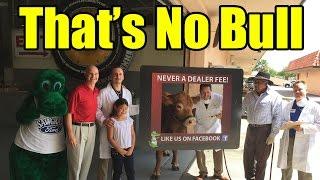 That's No Bull at Sawgrass Ford