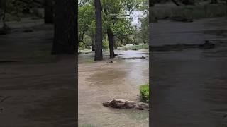 Deadly flooding strikes South Africa