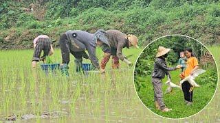 To repay the kind landowner, the single mother helped him grow rice and had fun selling ducks.