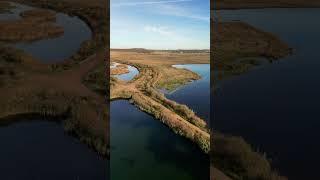 RSPB St Aidan Leeds