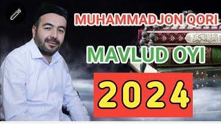 MAVLUD OYI , MAVLUDI SHARIF, МАВЛУД ОЙИ, MAVLUD OYI 2024, MAVLUDI SHARIF 2024, MUHAMMADJON QORI