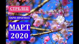 СТРЕЛЕЦ ТАРО-ПРОГНОЗ на МАРТ 2020 года