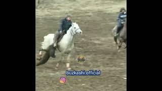 Бузкаши Сафар Алмосов нохияи Дангара сенатор #tajikistan #dushanbe #kokpar #kokboru #buzkashi #uloq