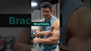 Hammer Curls | Jeet Selal