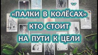 "Палки в колёсах" Кто ваш враг, кто мешает получить желаемое