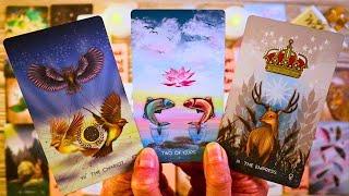 GETTING OVER EGO, ENDING NO CONTACT!! FINALLY!! ️ LOVE TAROT READING