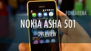 Nokia Asha 501 Overview