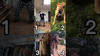 (Black Panther Challenge) virbro VS ox_zung VS therickyberwick VS cure0721 #tiktok #shorts