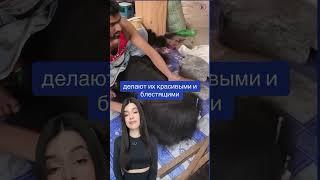 Что скажете?