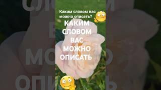 Сногсшибательные,  авантюрные,... Каким одним словом вас можно описать по дате рождения   Эзотерика