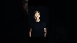 (rip Avicii 아비치) a collection of songs No ads노래모음 광고없음