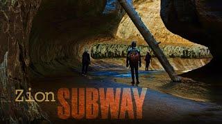 ZION Subway will Blow your MIND | Top Down Route | Left Fork Canyoneering in Zion National Park