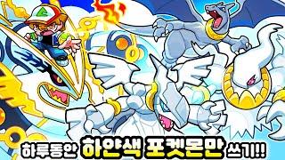 ️ 하루동안 하얀색 포켓몬만 쓰기!! 초희귀 "화이트 전설 이로치 포켓몬" 등장?!