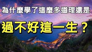 為什麼學了這麼多道理，還是過不好這一生？！| 知行合一的辦法（建議1.25倍速觀看）