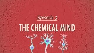 The Chemical Mind: Crash Course Psychology #3