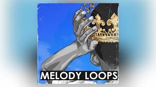 FREE  SAMPLE PACK / LOOP KIT | MELODY LOOPS (Drill,Trap, Rap, Hip-Hop Samples) | vol.160