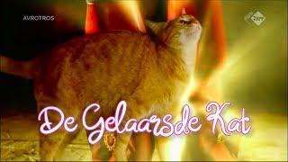 De Mooiste Sprookjes - De Gelaarsde Kat