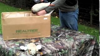 The Plucker