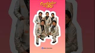 MIX PEGADITAS - CANTARITOS DE ORO
