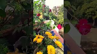 Chad Bagan #youtubeshorts #shorts #viral
