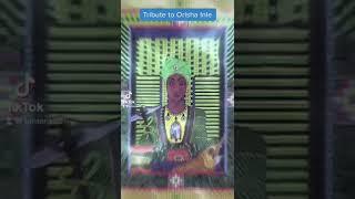 Tribute to Orisha Inle #orishas #santeria #inle #fypシ