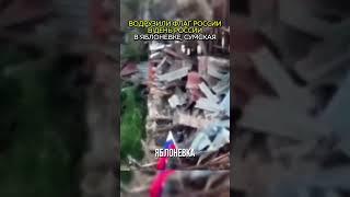 Парни водрузили флаг России в Яблоневке, Сумской области!
