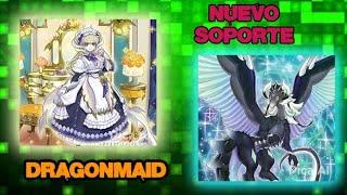 ¡Nuevo soporte Dragonmaid!