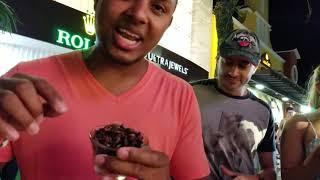 Probando CHAPULINES en México| GRILLOS en la 5ta Avenida | PLAYA DEL CARMEN