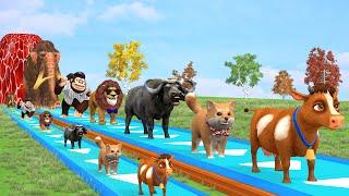 Paint & Animals Cow,Gorilla,Elephant,Lion,Tiger,Dinosaur, Fountain Crossing Transformation Cartoon