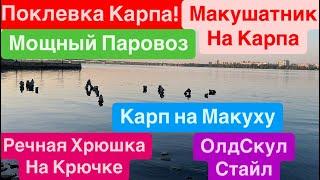 Ловля Карпа на МакушатникМощная ПоклевкаДикая Рыба Утягивает в ВодуСазан на МакушатникМор Рыбы