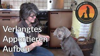 Verlangtes Apportieren mit Skrutten - Welpenfernkurs Lektion 22 | Hundeschule U.B.