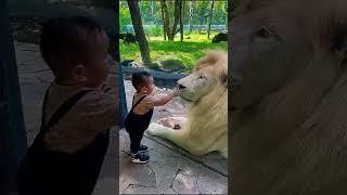World Bravest Kid