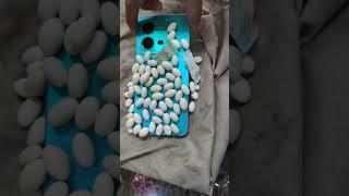 Vivo V25  #vivov25 #viral #ideas #shortvideo #shorts #youtube #Trending #ideas #tech  #technology