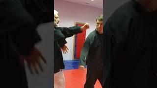 Клуб "Цюань Шу" #martialarts #sports #shorts #training