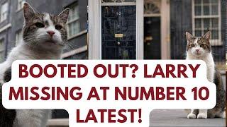 DOWNING STREET LARRY TOTALLY DISAPPEARS WHAT HAPPENED - #larrythecat #downingstreet #keirstarmer