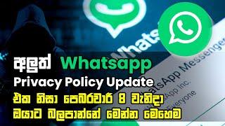 Whatsapp Privacy Policy Update in Sinhala 2021 -  Api Talk