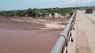 Hippos Chilling at Athi Galana Sabaki River (Sabaki Bridge Malindi)