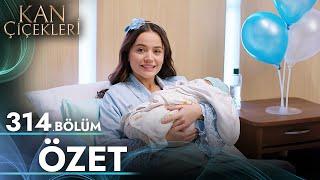 Kan Çiçekleri 314. Bölüm - Özet