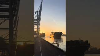 A Journey Through the World's Largest Port (Massvlakte)