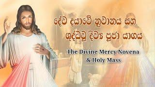 Divine Mercy Novena & Noon Holy Mass - 02/02/2024