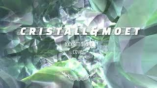 xxxsmoker-Cristal & МОЁТ (cover)