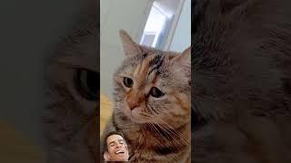 #ржач #смешновидео #pets #юмор #funny #приколы #смехпродлеваетжизнь #смешнойшортс
