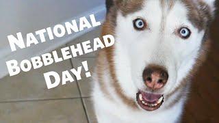 Happy National Bobble Head Day from Laika the Husky!