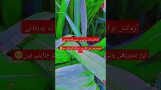 motivational lines | Rooh-e-Eman voice