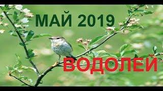 ВОДОЛЕЙ МАЙ 2019 /Агата Добровская