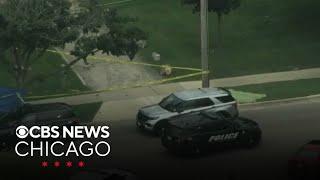 Highland Park police shoot, kill man armed with knife during well-being check