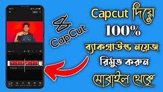 How to remove background noise in capcut 2022